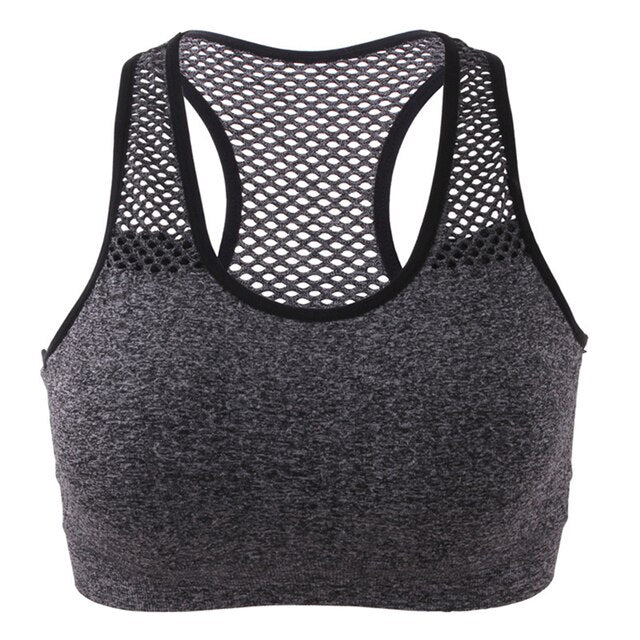 Mulit Colors Ladies Yoga Sports Bra