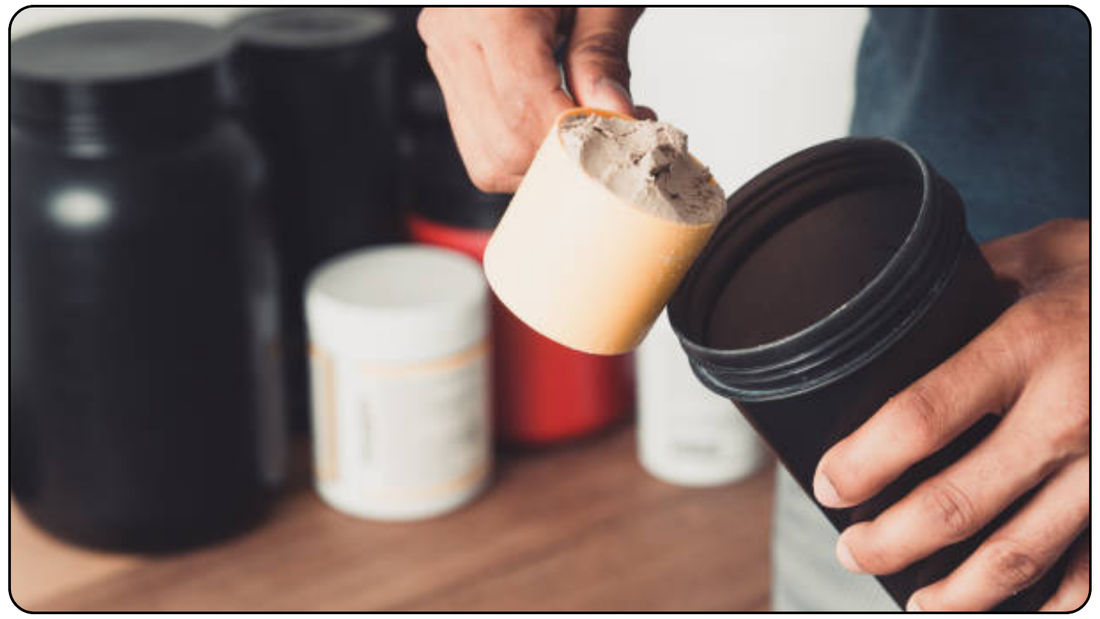 Best Protein Powder