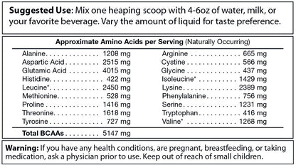 Absolute Whey – Chocolate